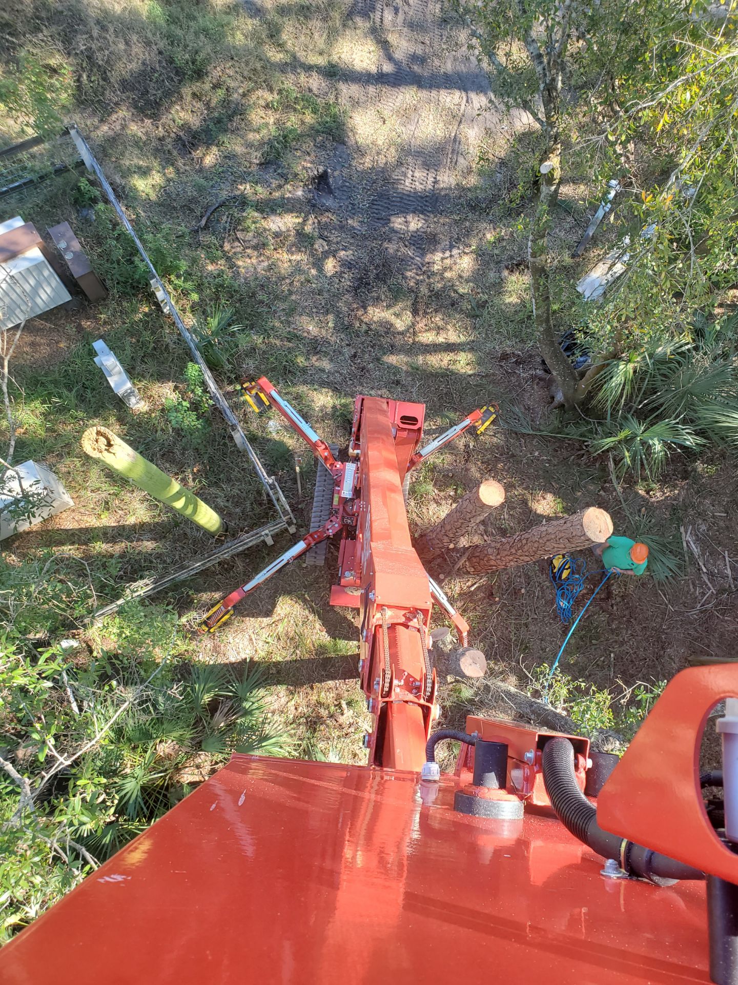 View From Top of Tree